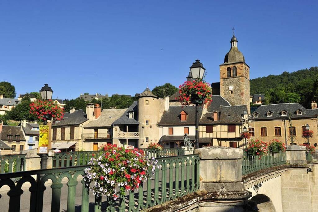Appartement Maison mitoyenne piscines chauffées et tourisme vert à Saint-Geniez-dʼOlt Extérieur photo
