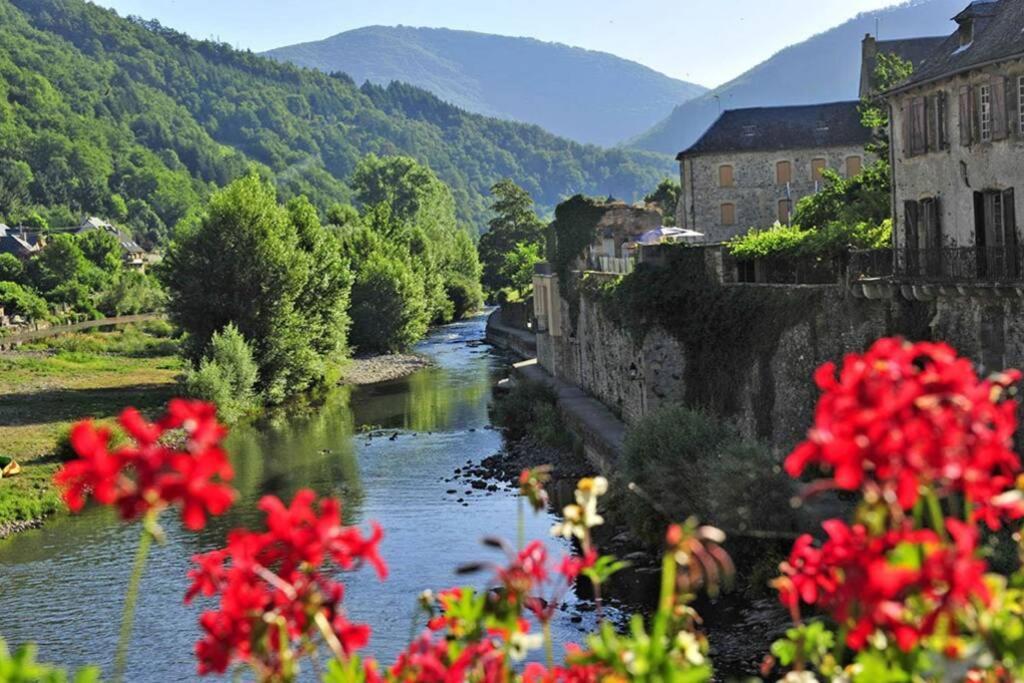 Appartement Maison mitoyenne piscines chauffées et tourisme vert à Saint-Geniez-dʼOlt Extérieur photo