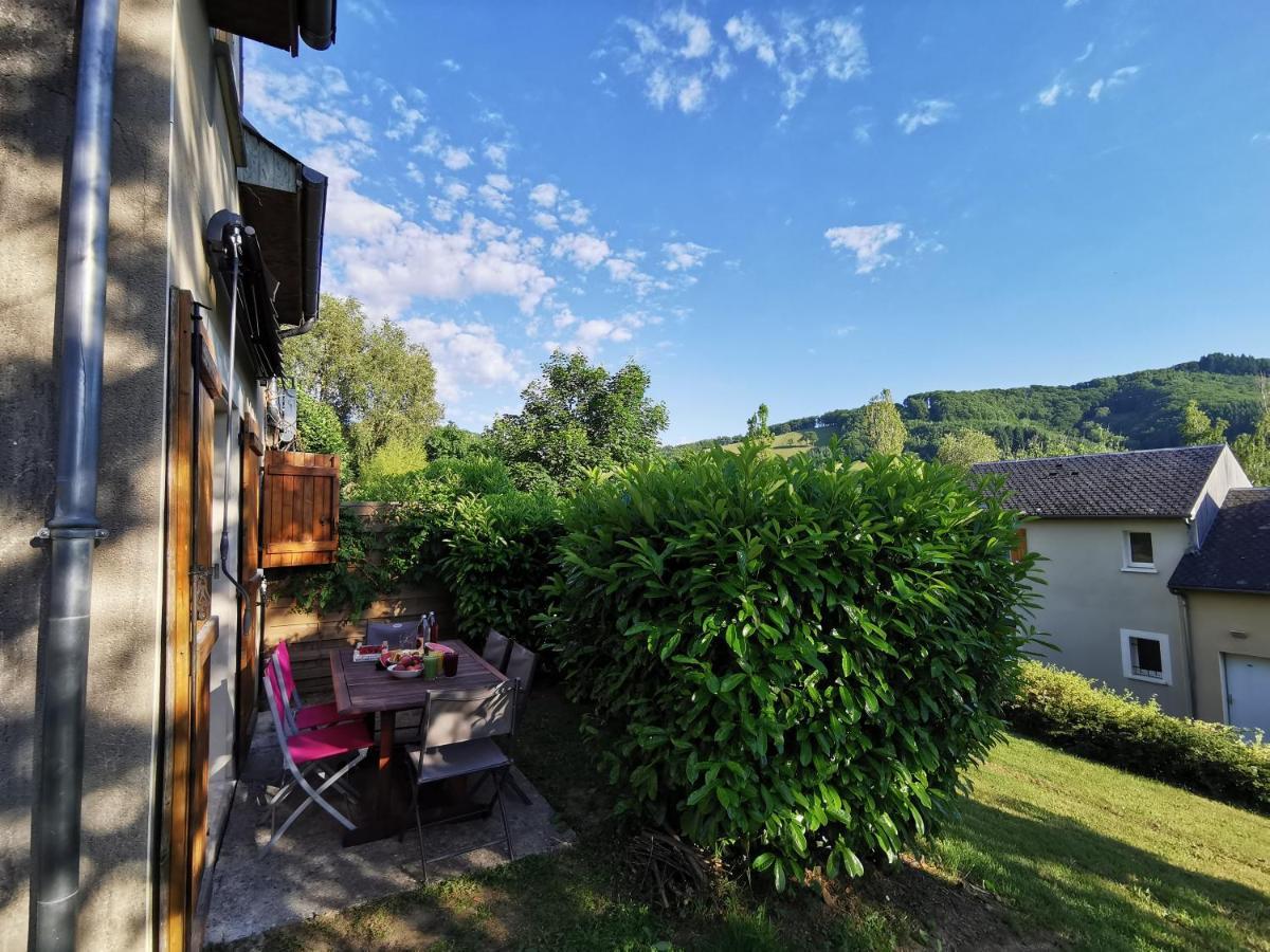 Appartement Maison mitoyenne piscines chauffées et tourisme vert à Saint-Geniez-dʼOlt Extérieur photo